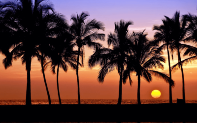 January “Tips From Tats” – Island Style Sunsets